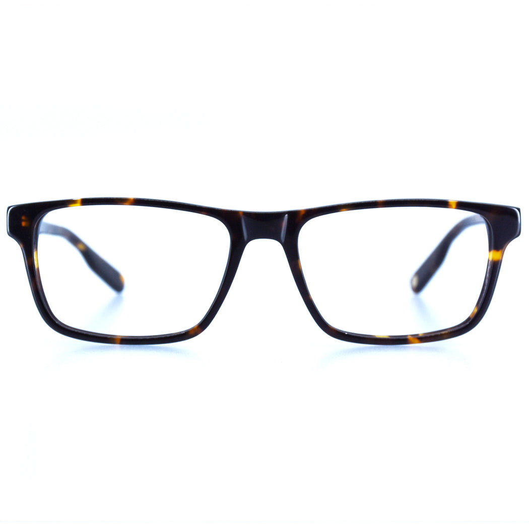 LEE - POLISHED TORTOISESHELL