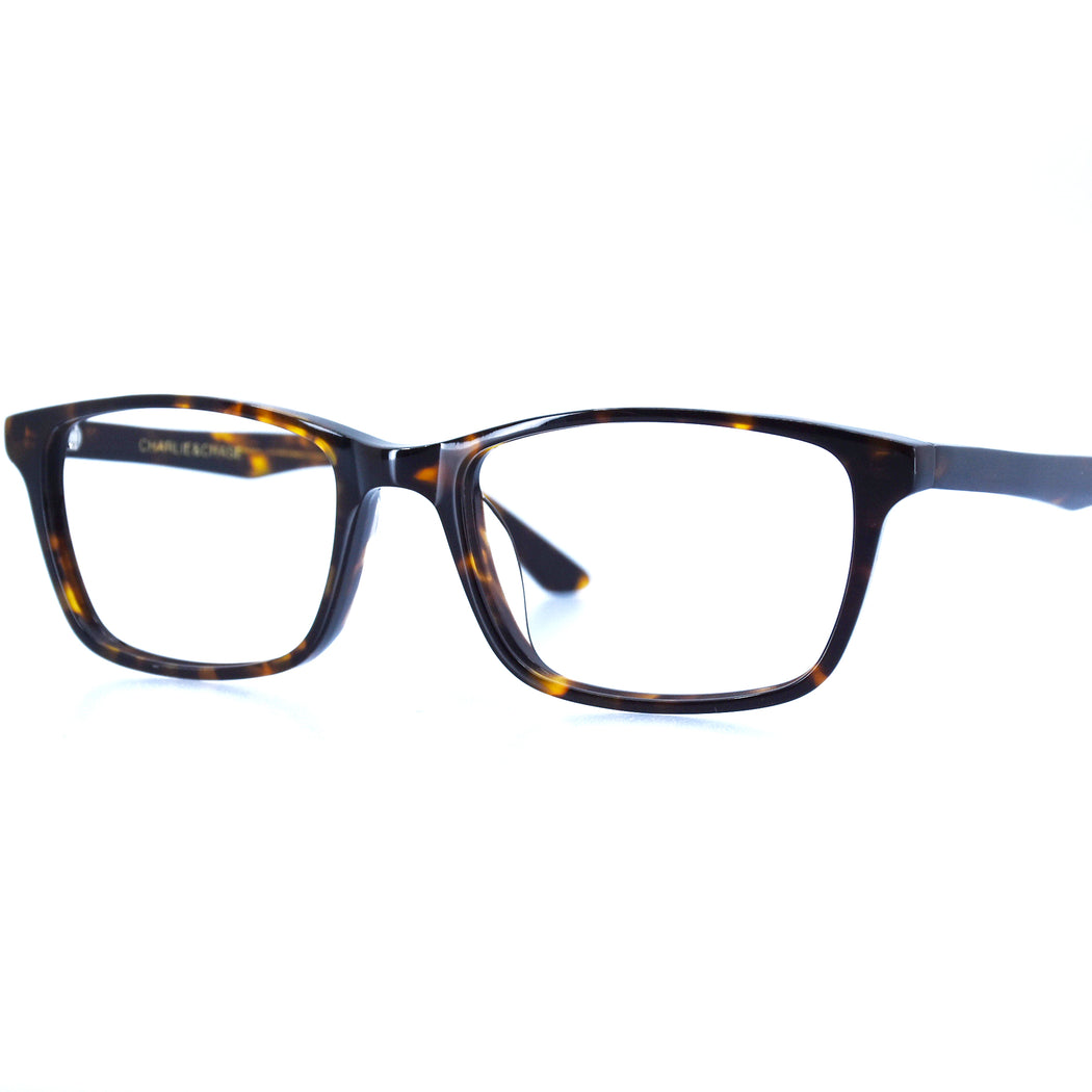 BRICE - POLISHED TORTOISESHELL