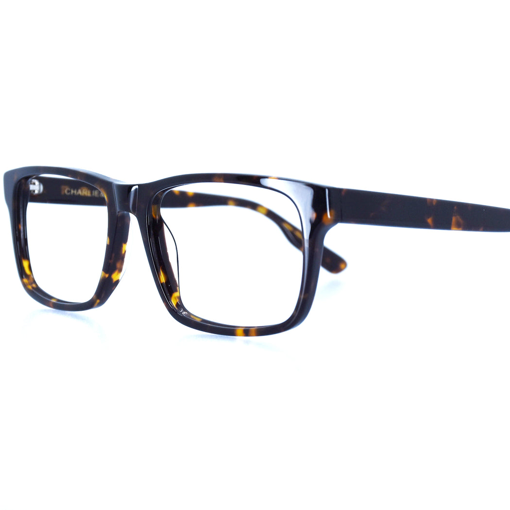 HUNTER - POLISHED TORTOISESHELL