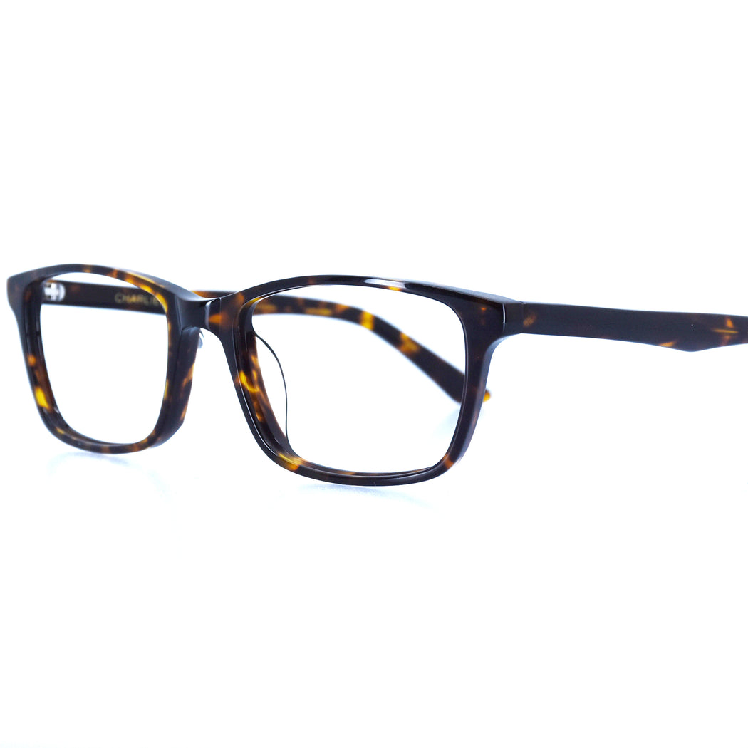 BRICE - POLISHED TORTOISESHELL