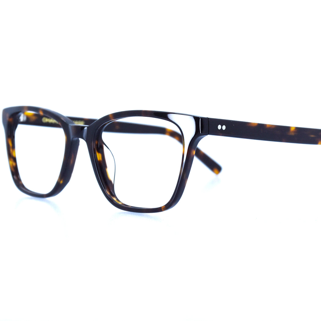 CASEY - POLISHED TORTOISESHELL