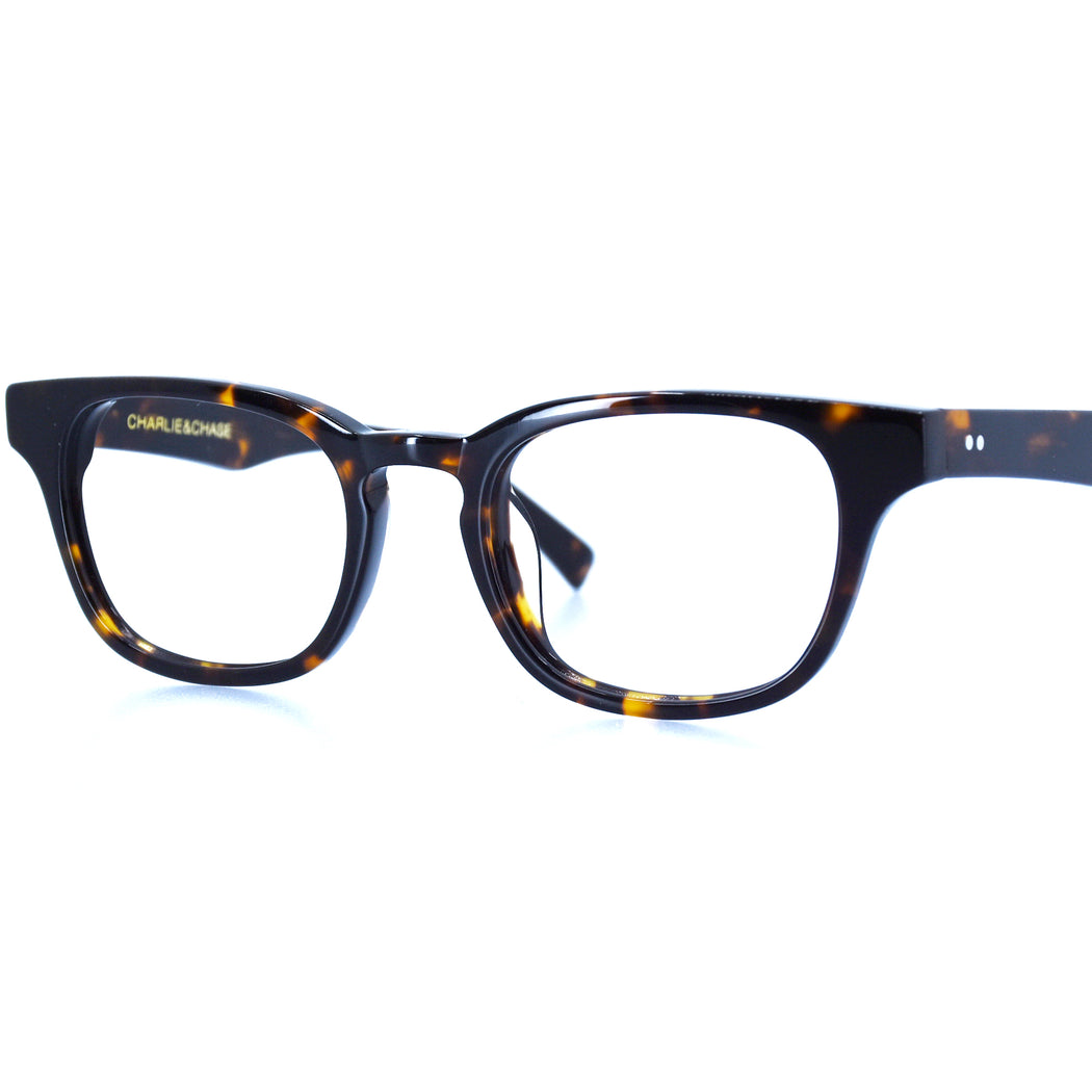 KILEY - POLISHED TORTOISESHELL