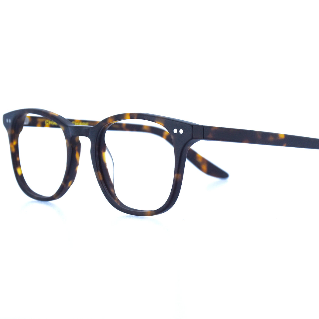 PAYTON - MATTE TORTOISESHELL