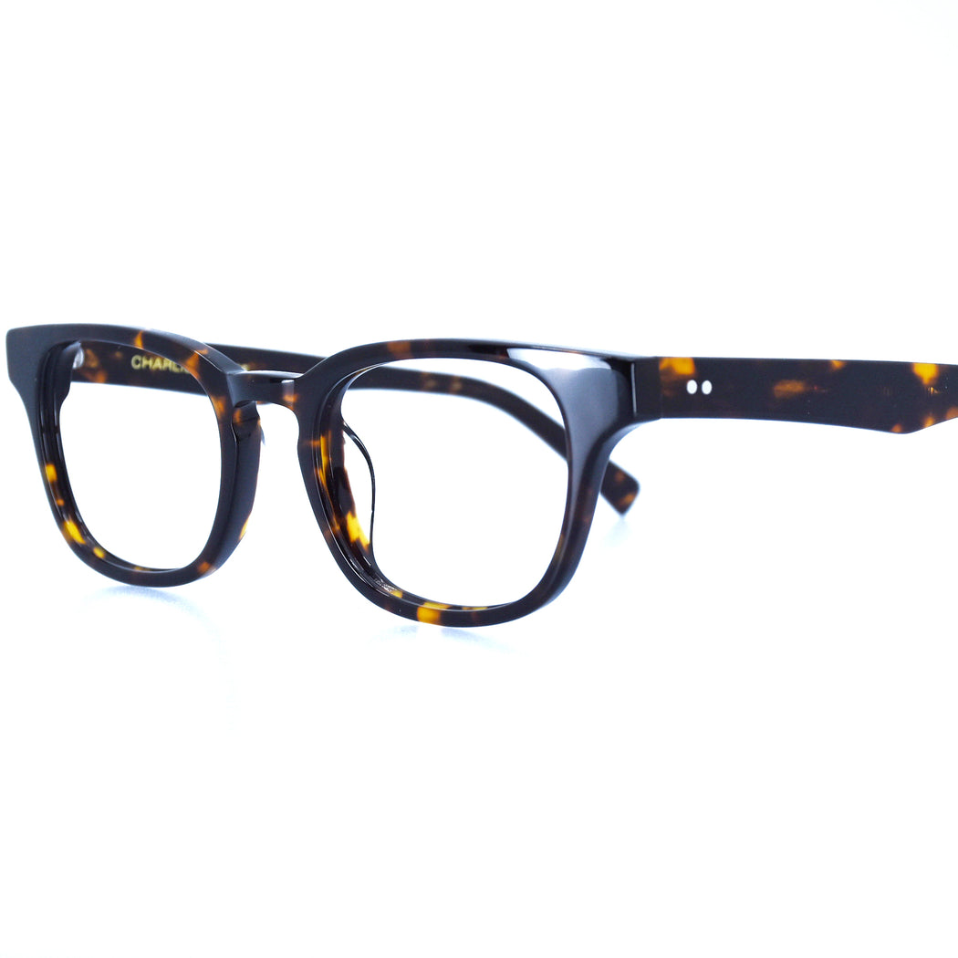 KILEY - POLISHED TORTOISESHELL