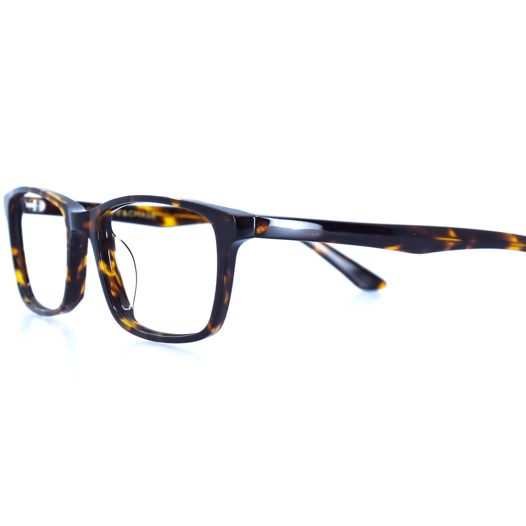 BRICE - POLISHED TORTOISESHELL