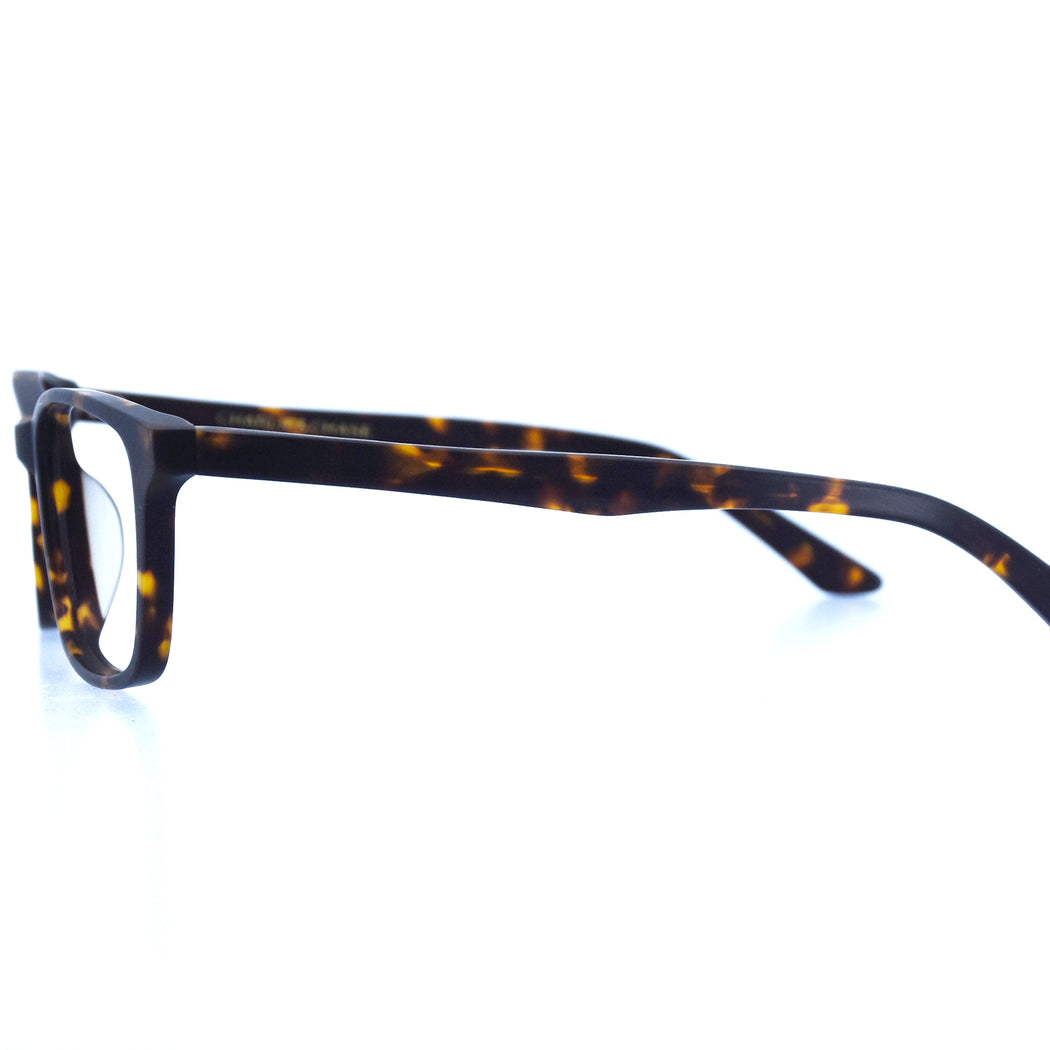 BRICE - MATTE TORTOISESHELL