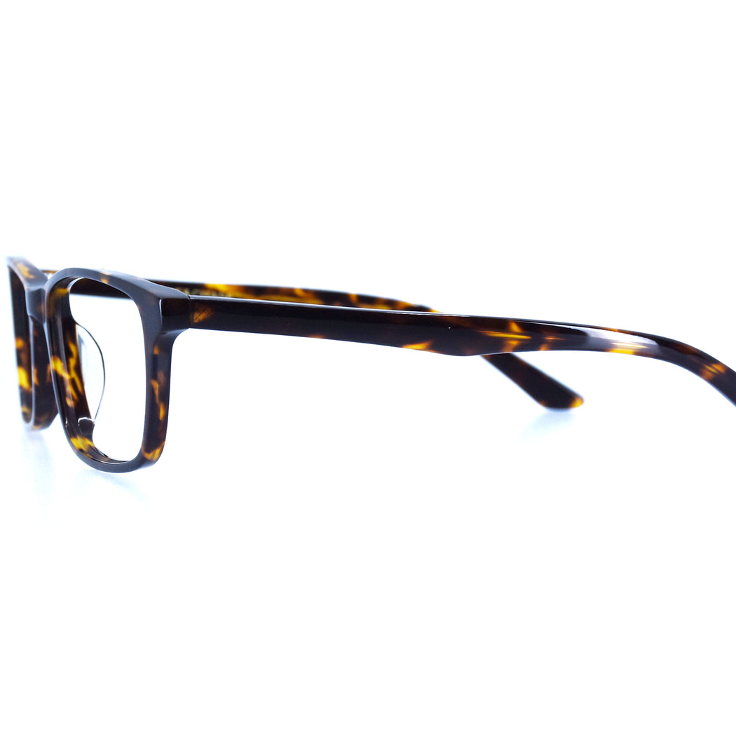 BRICE - POLISHED TORTOISESHELL