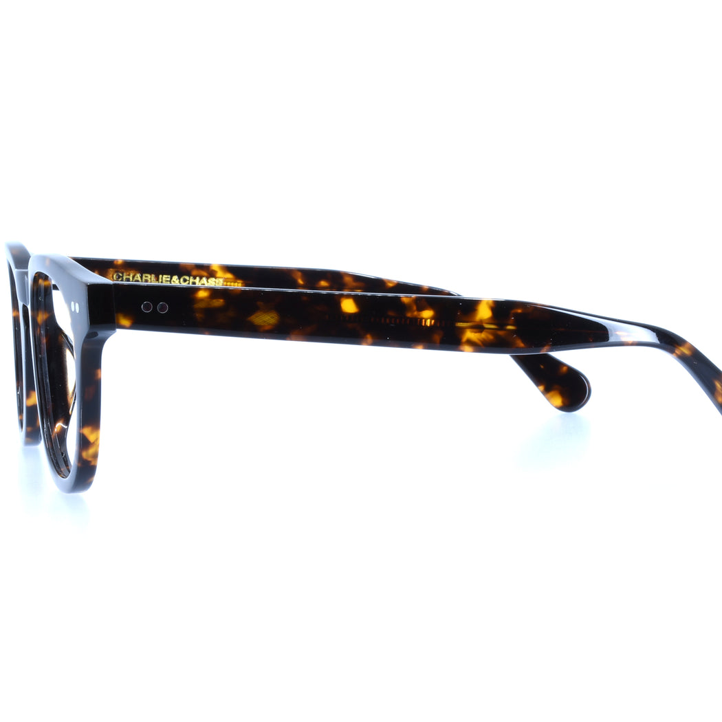 JESSE - POLISHED TORTOISESHELL