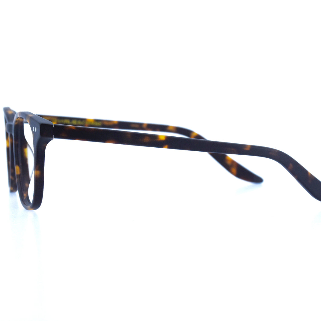 PAYTON - MATTE TORTOISESHELL