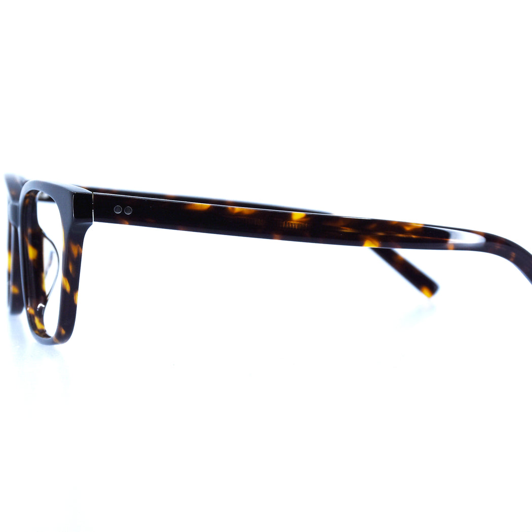 CASEY - POLISHED TORTOISESHELL