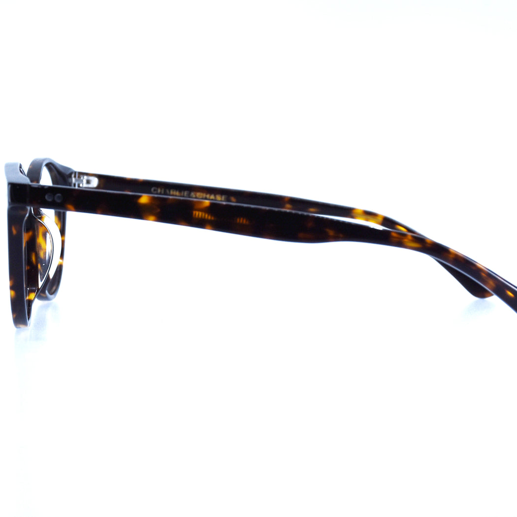 DUSTIN - POLISHED TORTOISESHELL