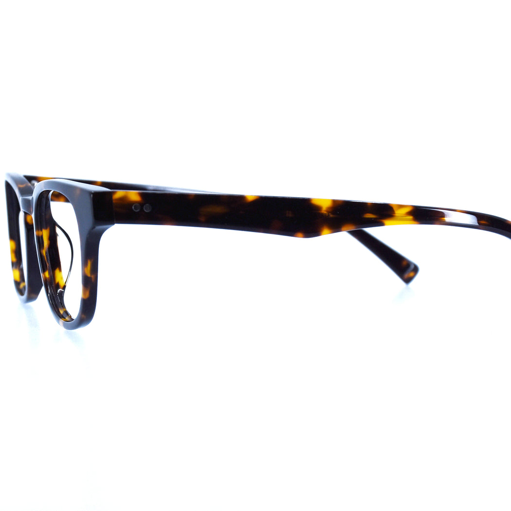 KILEY - POLISHED TORTOISESHELL