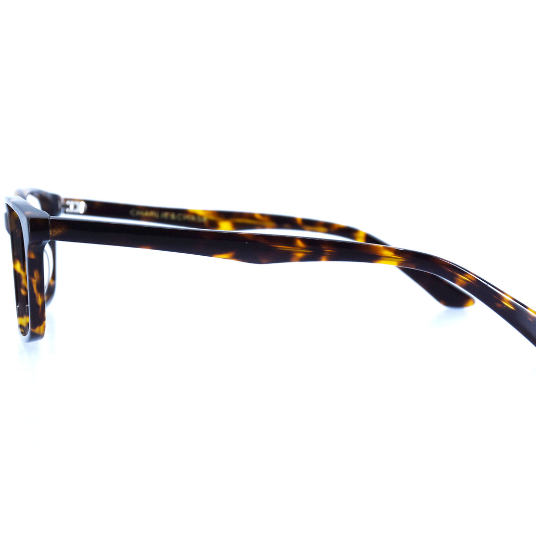 BRICE - POLISHED TORTOISESHELL