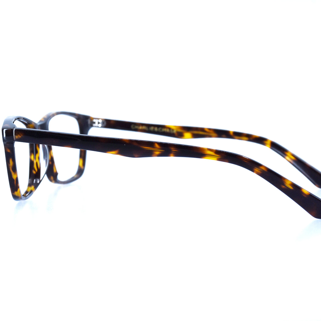 BRICE - POLISHED TORTOISESHELL