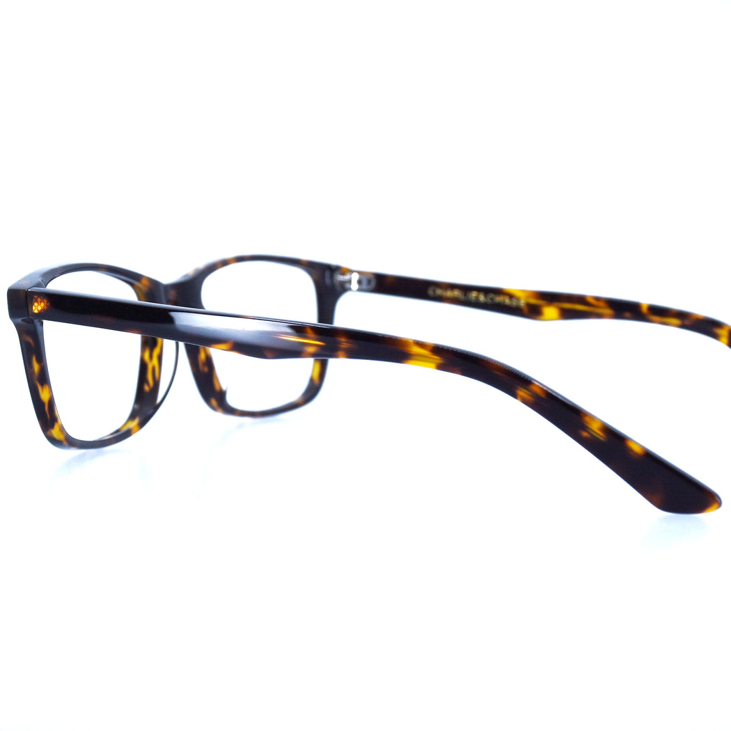 BRICE - POLISHED TORTOISESHELL