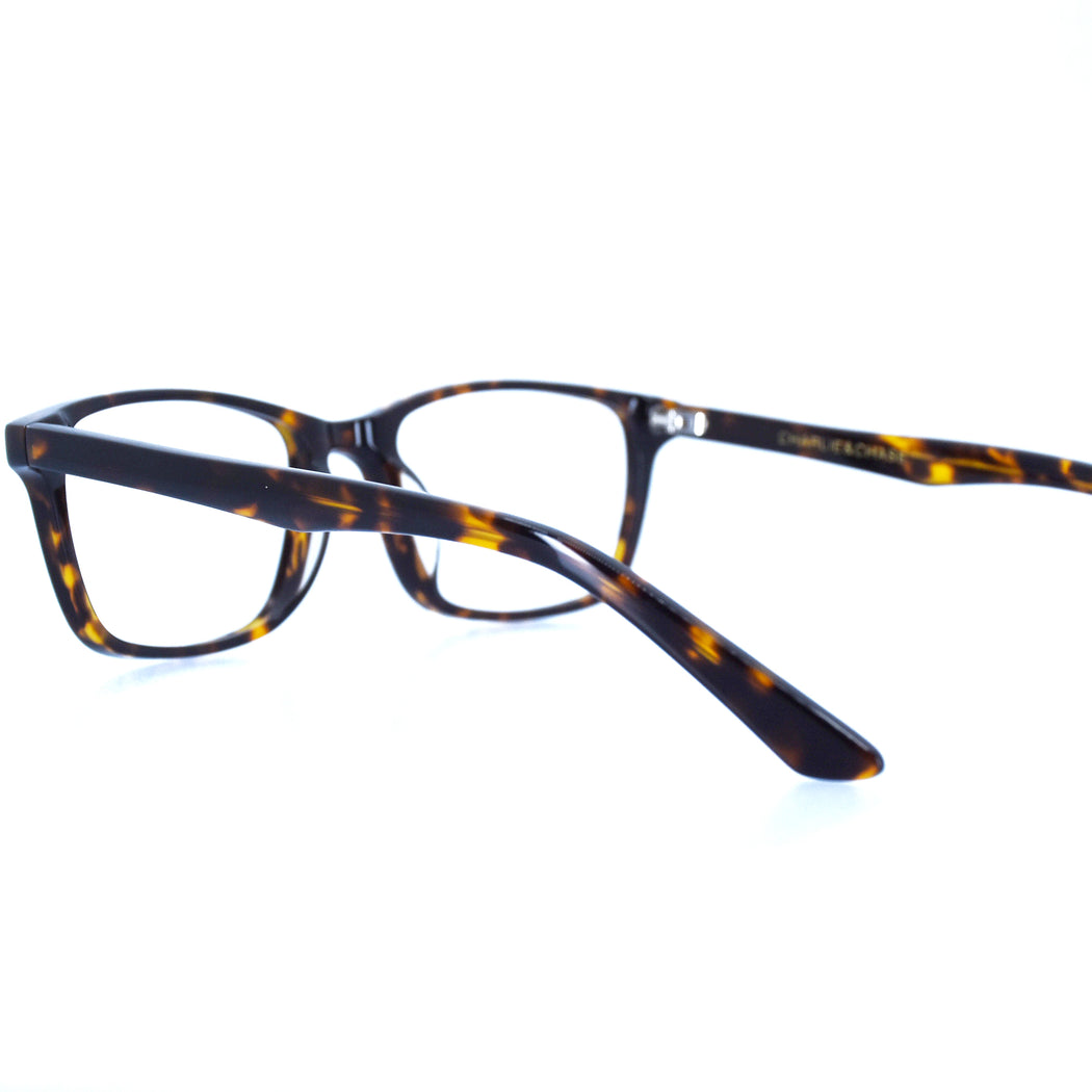 BRICE - POLISHED TORTOISESHELL