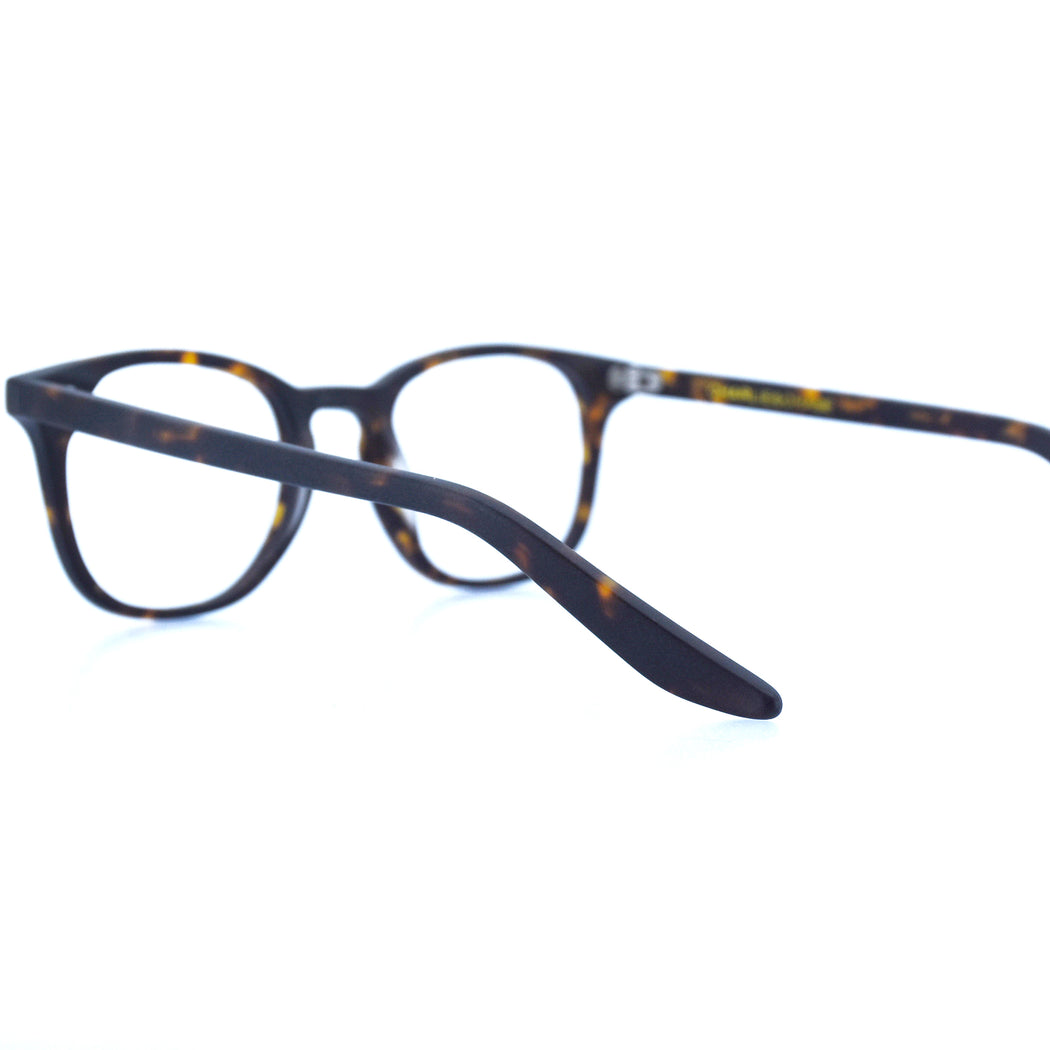 PAYTON - MATTE TORTOISESHELL