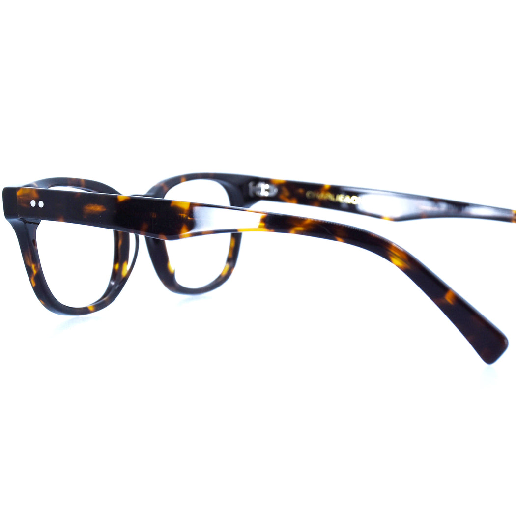 KILEY - POLISHED TORTOISESHELL