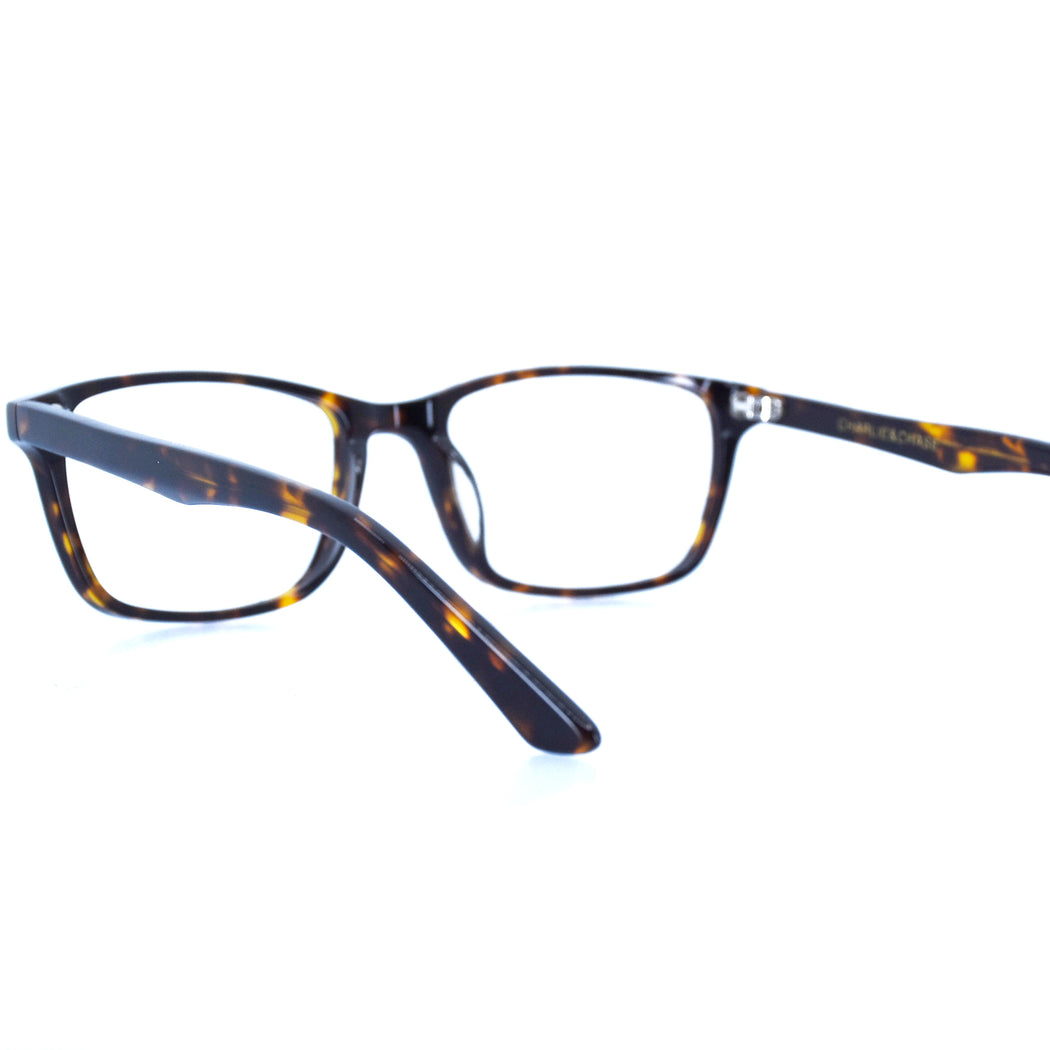 BRICE - POLISHED TORTOISESHELL