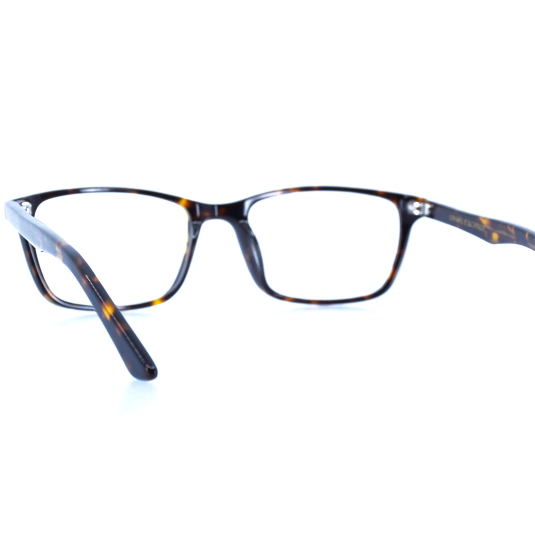 BRICE - POLISHED TORTOISESHELL