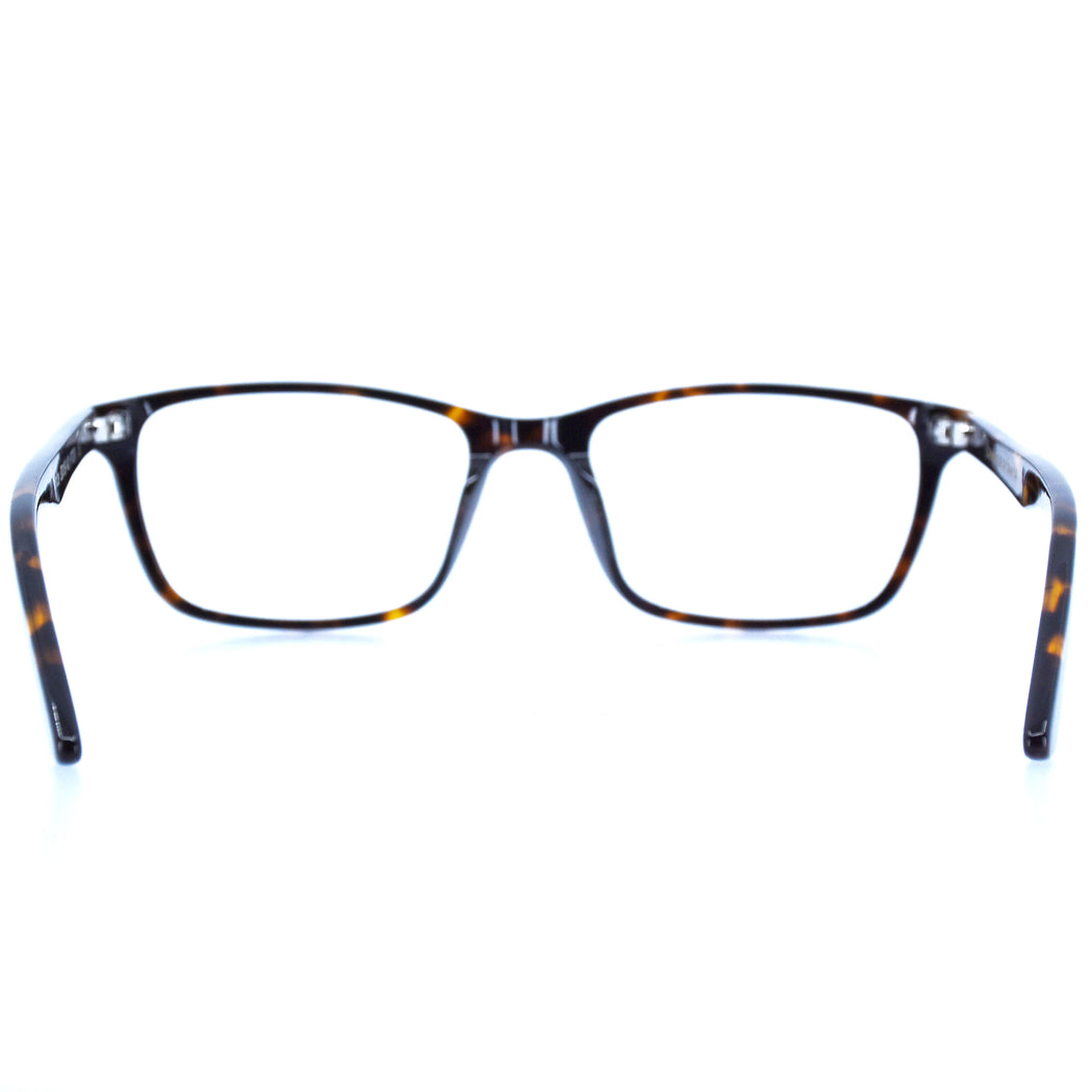 BRICE - POLISHED TORTOISESHELL