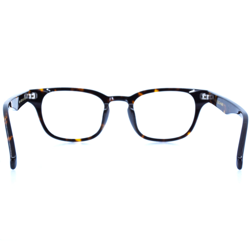 KILEY - POLISHED TORTOISESHELL