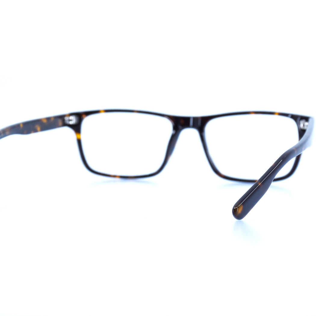 LEE - POLISHED TORTOISESHELL