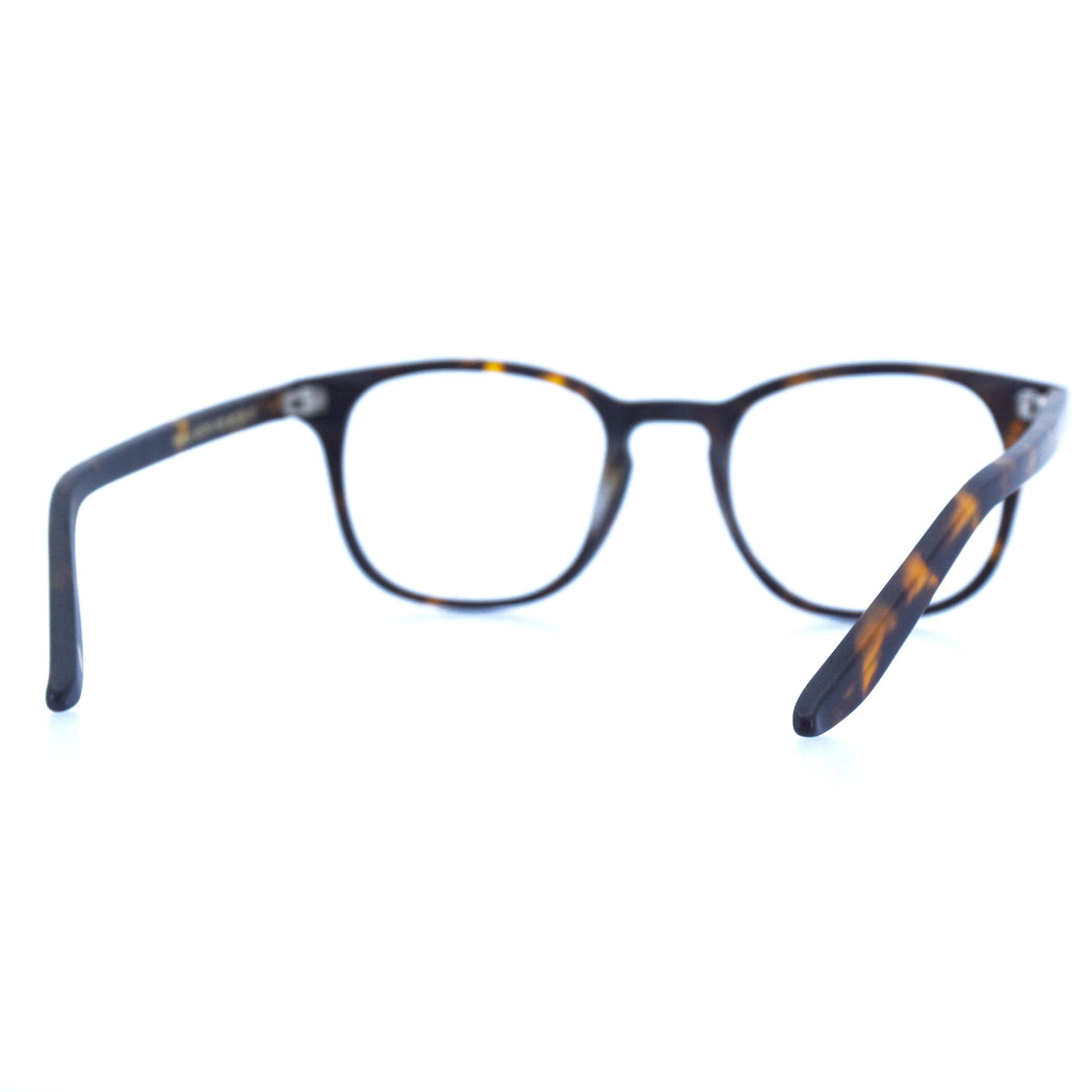 PAYTON - MATTE TORTOISESHELL