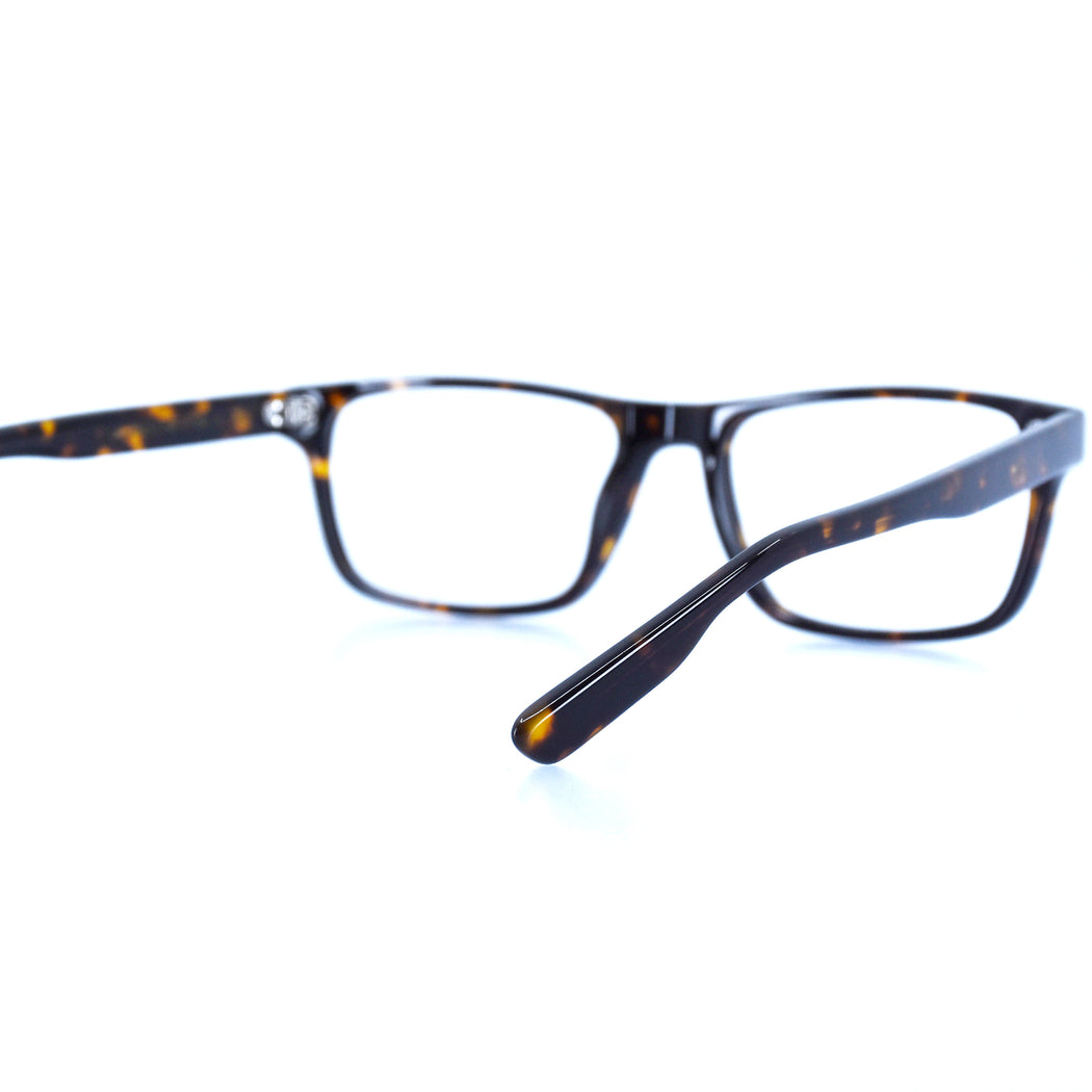 LEE - POLISHED TORTOISESHELL