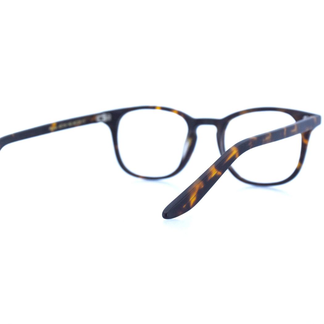 PAYTON - MATTE TORTOISESHELL