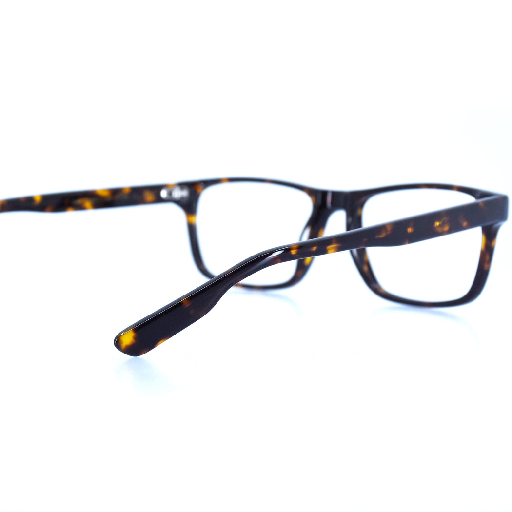 LEE - POLISHED TORTOISESHELL