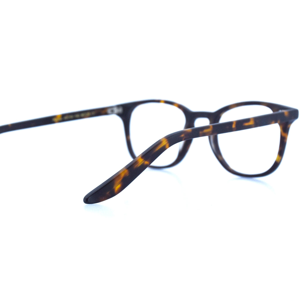 PAYTON - MATTE TORTOISESHELL