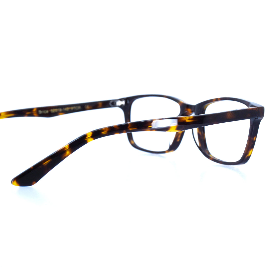 BRICE - POLISHED TORTOISESHELL