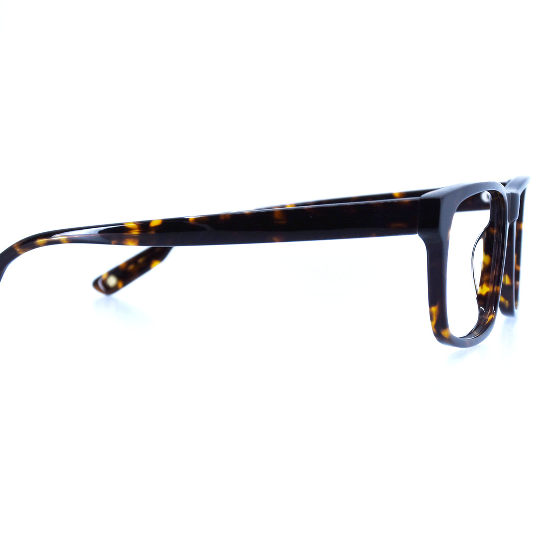 HUNTER - POLISHED TORTOISESHELL