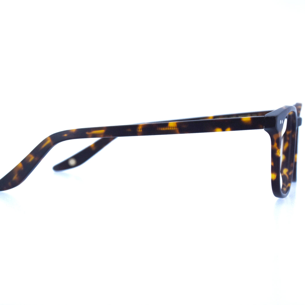 PAYTON - MATTE TORTOISESHELL