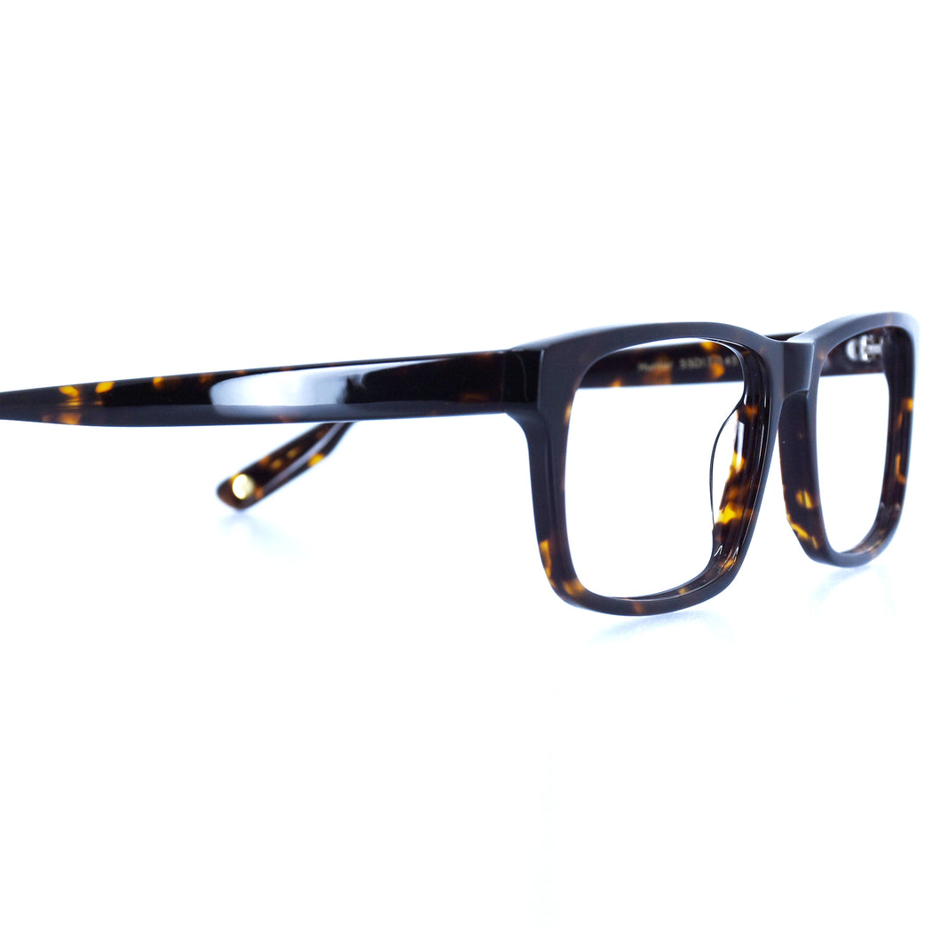 HUNTER - POLISHED TORTOISESHELL