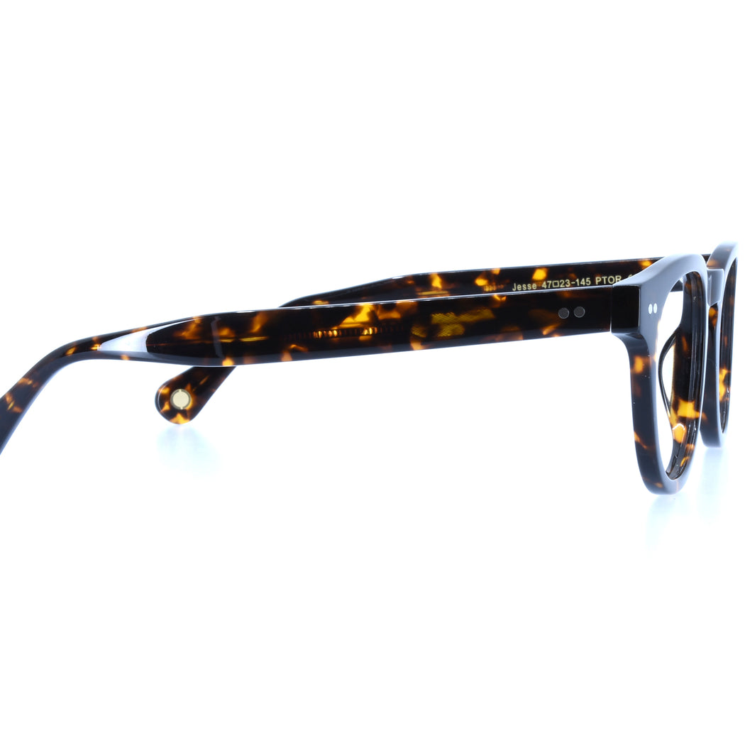 JESSE - POLISHED TORTOISESHELL