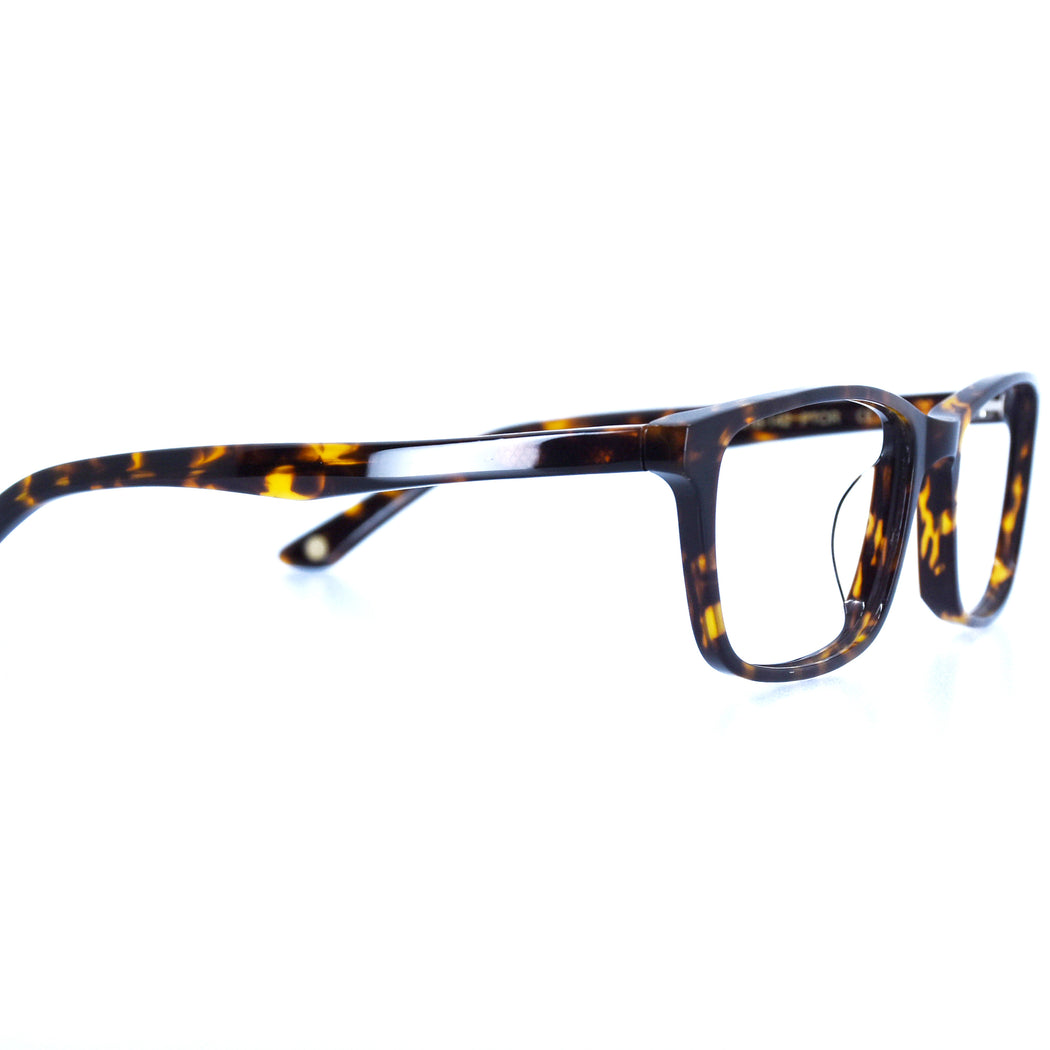 BRICE - POLISHED TORTOISESHELL