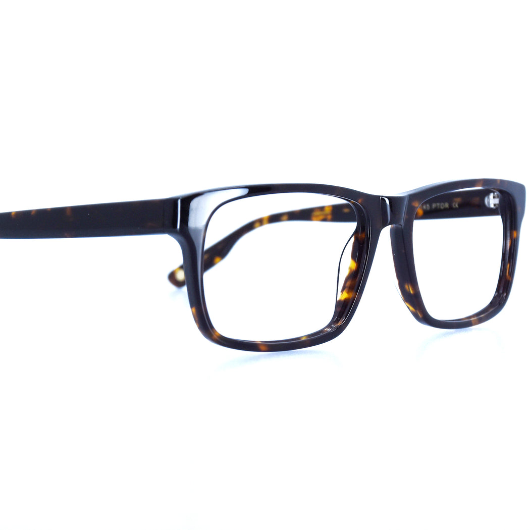 HUNTER - POLISHED TORTOISESHELL