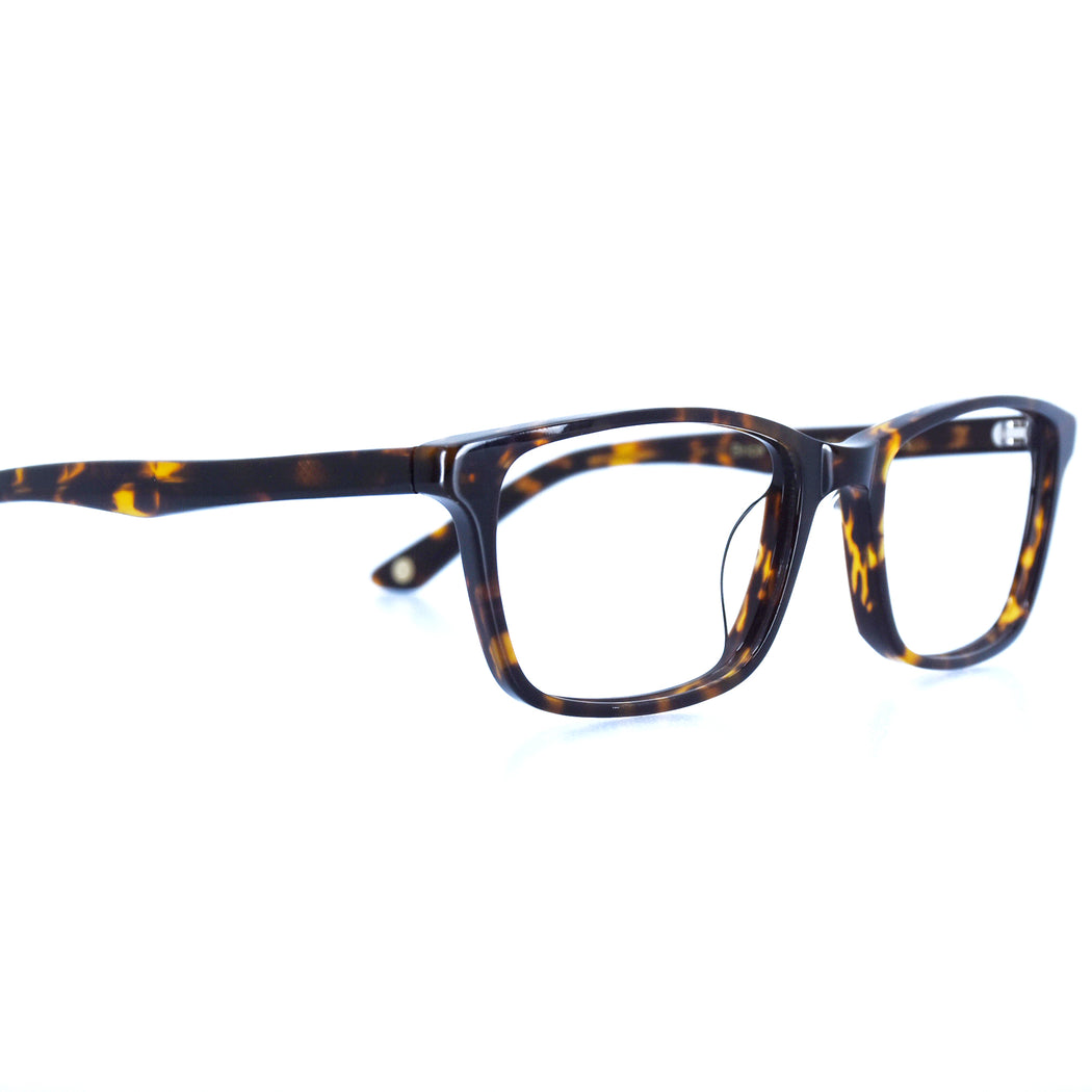 BRICE - POLISHED TORTOISESHELL