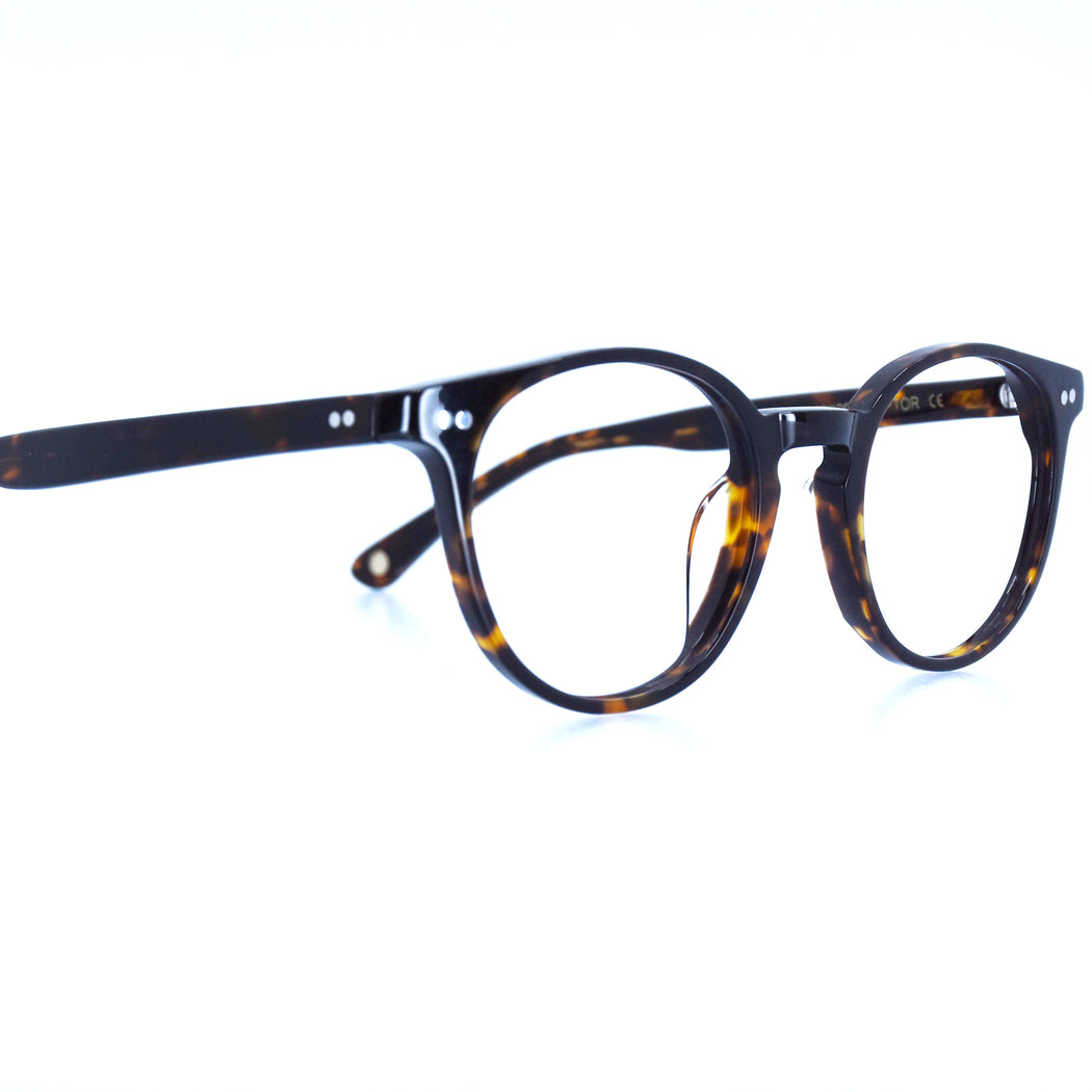 DUSTIN - POLISHED TORTOISESHELL