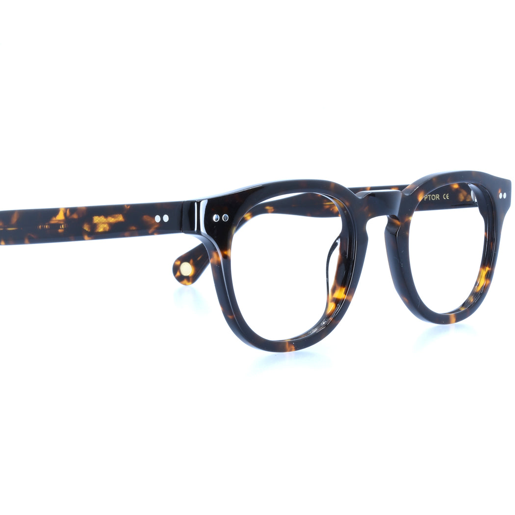 JESSE - POLISHED TORTOISESHELL