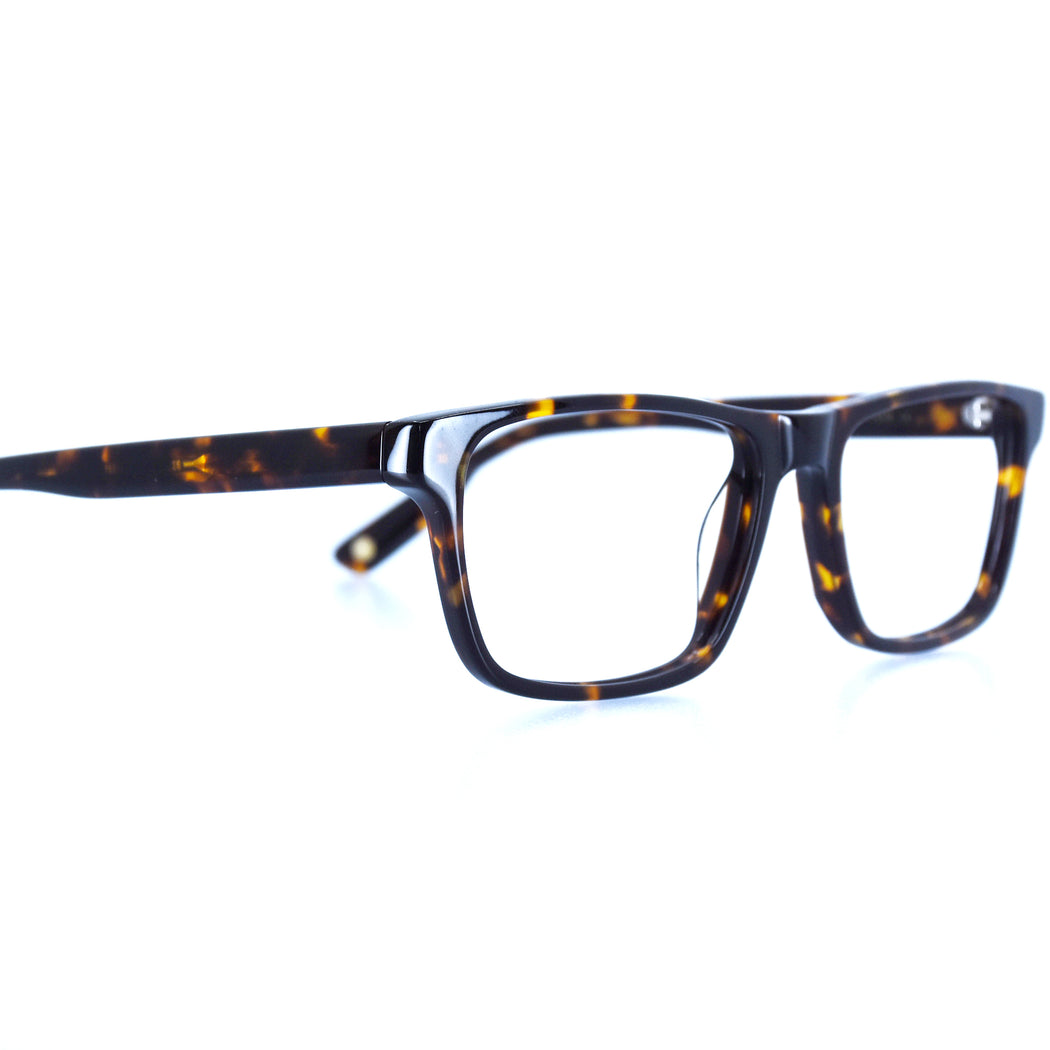 LEE - POLISHED TORTOISESHELL