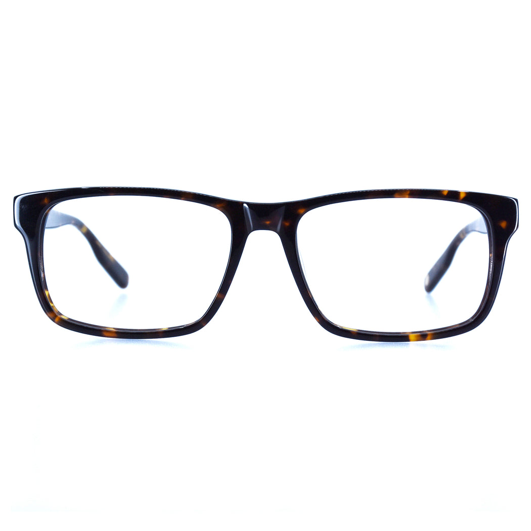 HUNTER - POLISHED TORTOISESHELL