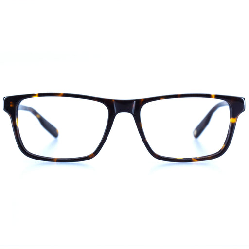 LEE - POLISHED TORTOISESHELL